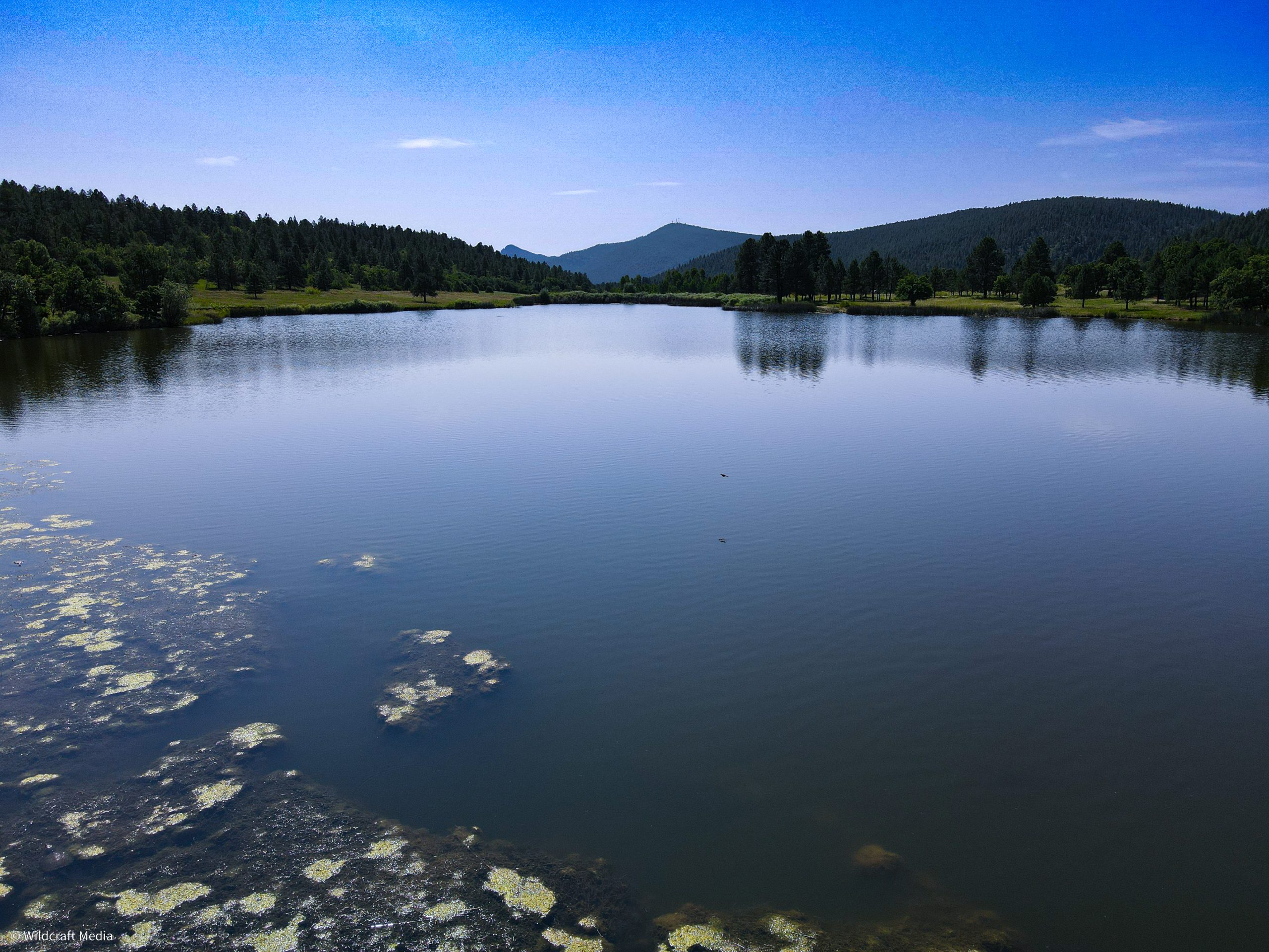 Collins Lake